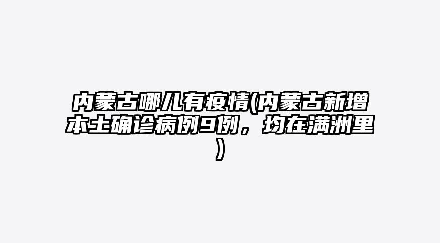 内蒙古哪儿有疫情(内蒙古新增本土确诊病例9例,均在满洲里)