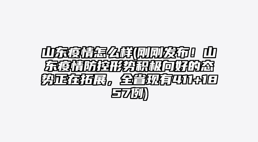 山东疫情怎么样(刚刚发布!山东疫情防控形势积极向好的态势正在拓展,全省现有411+1857例)