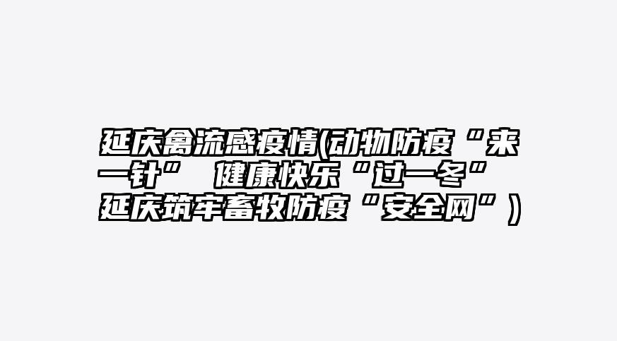 延庆禽流感疫情(动物防疫“来一针” 健康快乐“过一冬” 延庆筑牢畜牧防疫“安全网”)
